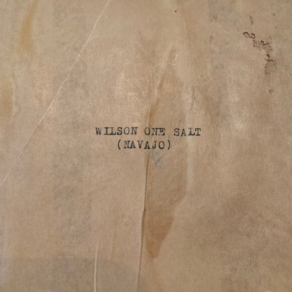 Framed Native American Portrait Wilson One Salt Navajo Signed O.W. Oil Painting - Picture 4 of 6